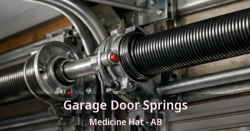 Garage Door Springs Medicine Hat - AB